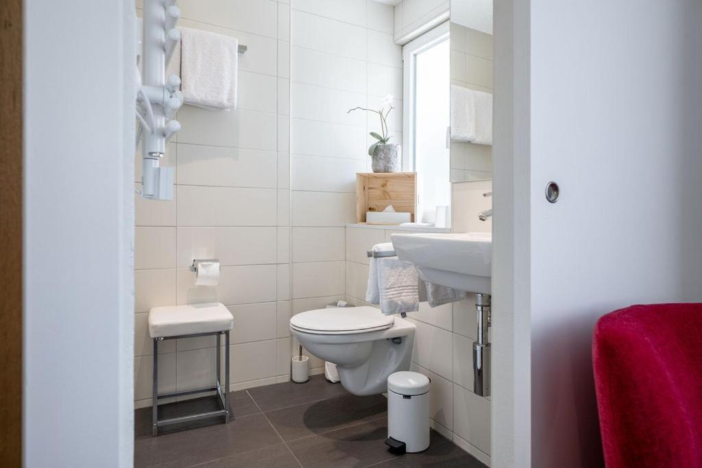 Hotel Zur Traube Brigerbad Екстер'єр фото